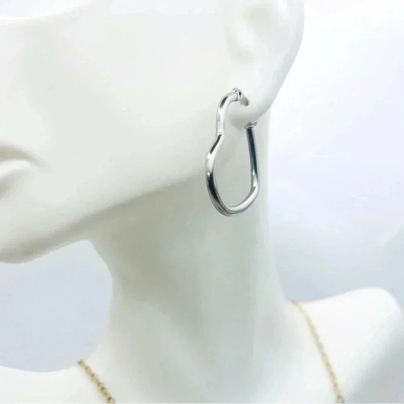 HEART Stainless Steel Earrings - Picture 2 of 2